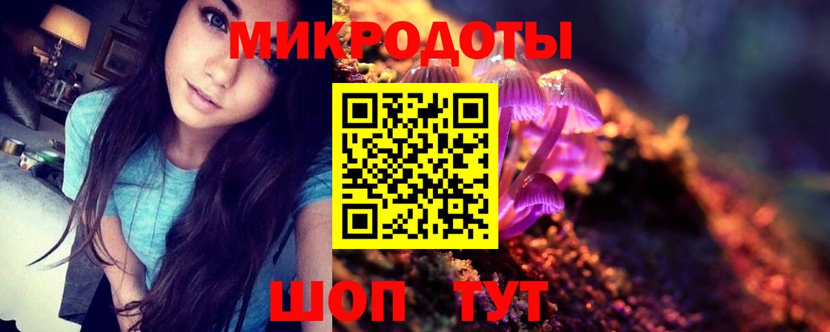 Гусев  Галлюциногенные грибы Psilocybe  Вход с VPN 